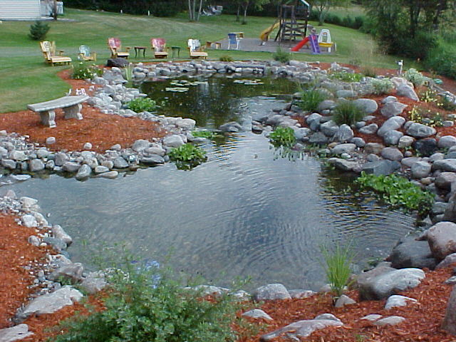 Backyard Pond